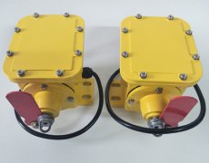 YPZLD-10A縱向撕裂開關(guān)|價格|使用方法工程案例 YPZLD-10A縱向撕裂開關(guān)|價格|使用方法工程案例