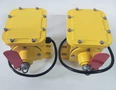 SCPT-120-30撕裂開關(guān)原理隔爆型 SCPT-120-30撕裂開關(guān)原理隔爆型